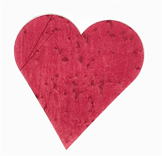 Heart Shaped Plantable Wildflower Seeded Paper Confetti